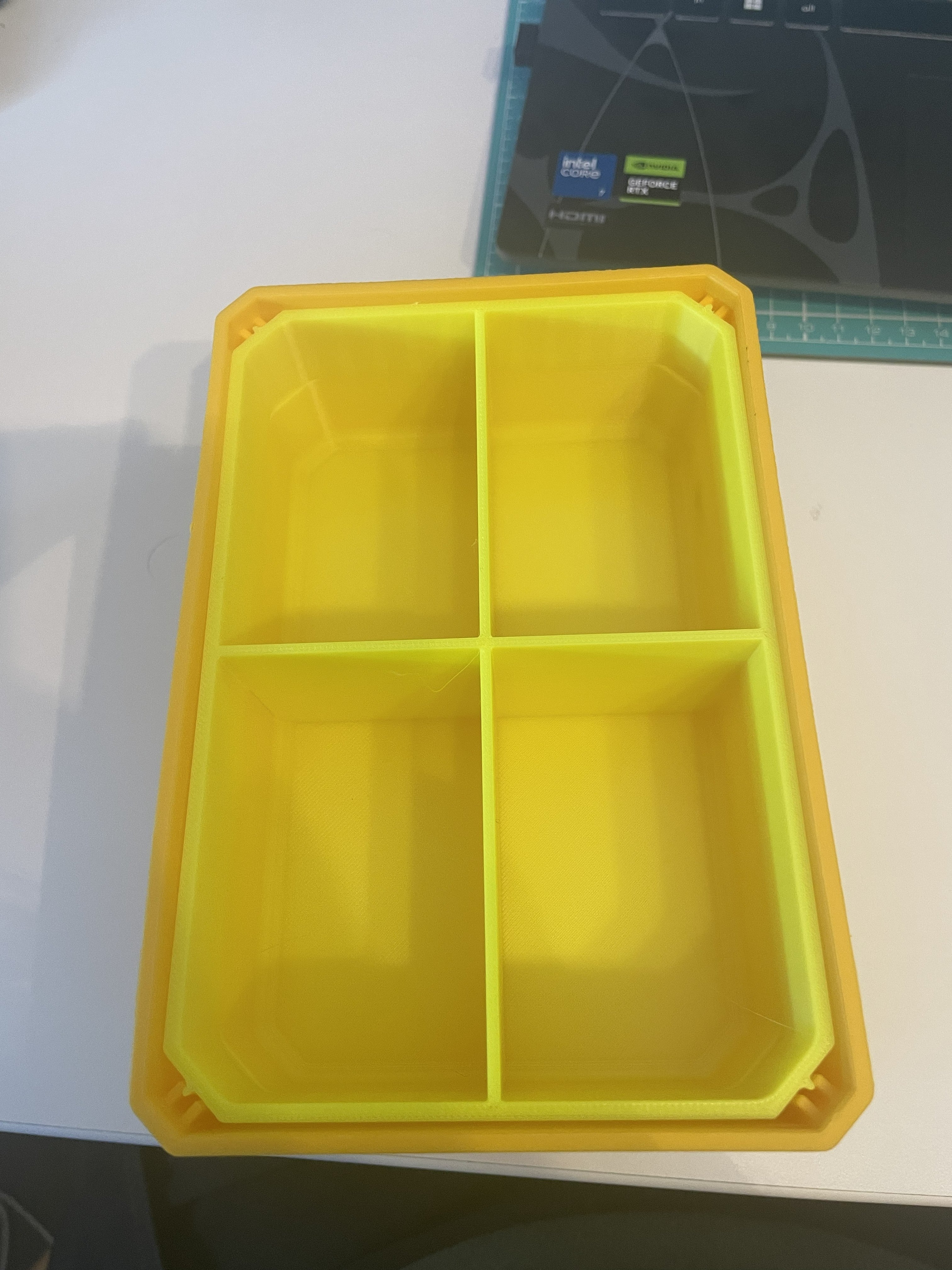 Dewalt T-Stack large nesting bin